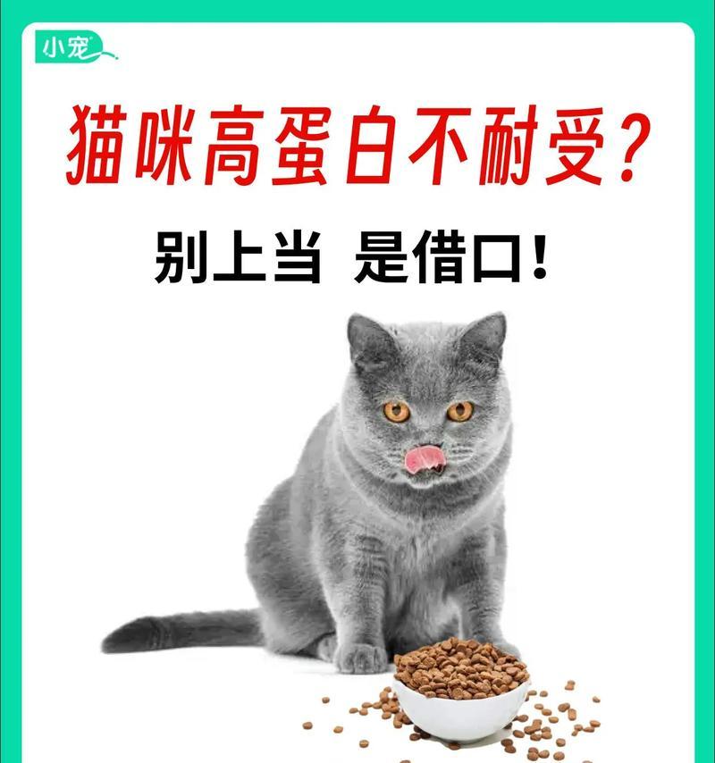 猫粮蛋白不达标会受到哪些处罚？